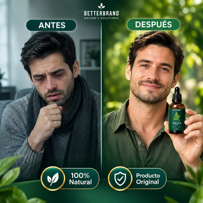 Mullein: Ayuda natural para tus pulmones 🌿🌬️