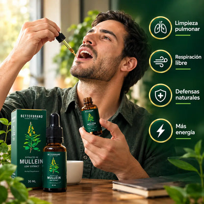 Mullein: Ayuda natural para tus pulmones 🌿🌬️