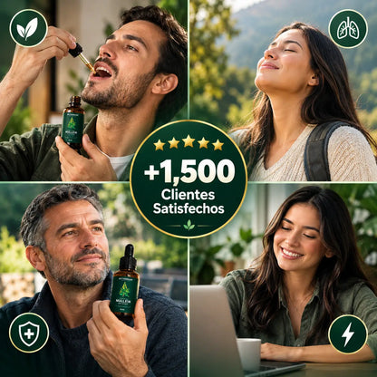 Mullein: Ayuda natural para tus pulmones 🌿🌬️